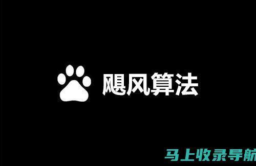 深度解读百度搜索SEO优化的核心要素：助力网站提升排名与流量增长